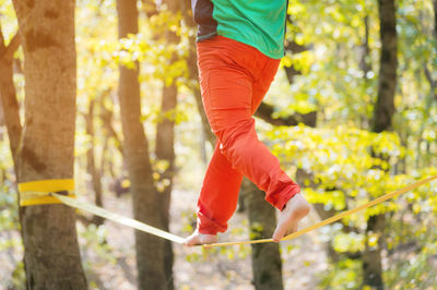 Low section of person with arms outstretched against trees in forest