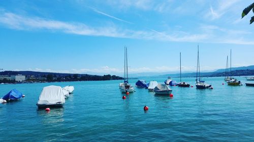 Sailboats sailing in sea against sky