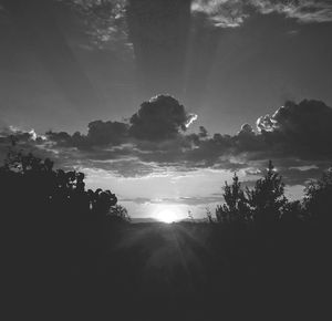 Silhouette trees against sky