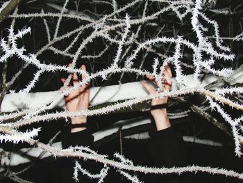 Close-up of person lying down on plant