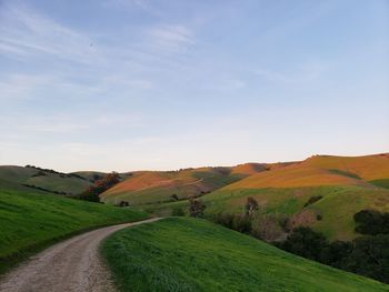 Scenic view of road amidst field against sky