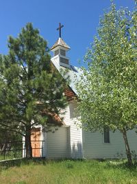 Trees by building against sky
