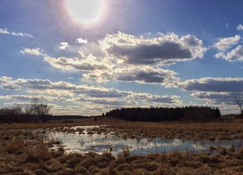 Scenic view of field against sky