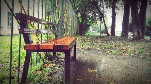 Empty bench in park