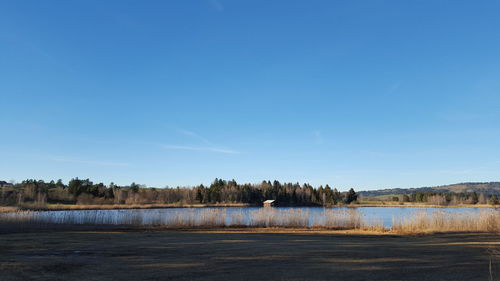 Scenic view of calm sea against clear sky