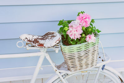 Close-up of pink flowering plant in basket on table