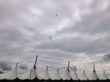 Low angle view of birds flying against sky