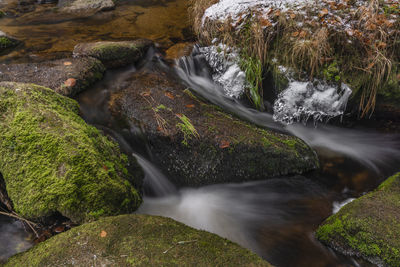 View of waterfall in forest