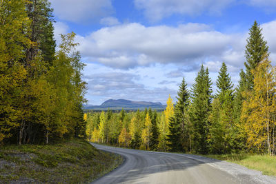 Scenic view of road amidst trees against sky