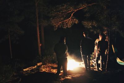 Rear view of people standing against illuminated trees at night