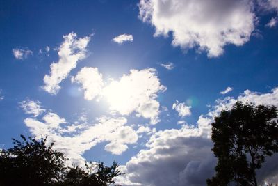 Low angle view of tree against sky