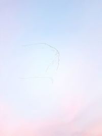 Low angle view of birds in the sky
