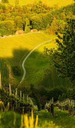 Scenic view of landscape