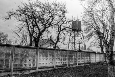 Bare tree against built structure