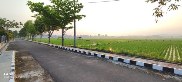 Road amidst field against clear sky