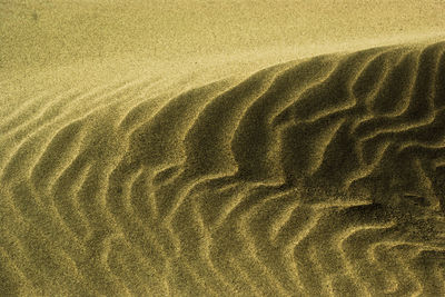 Full frame shot of sand dune