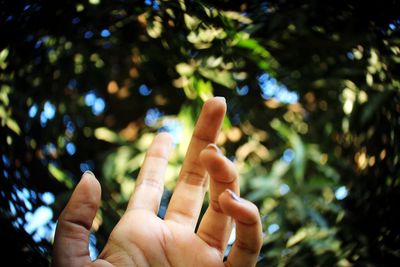 Low angle view of human hand against tree