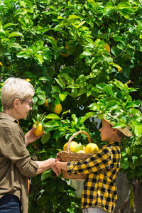 High angle view of woman picking plants