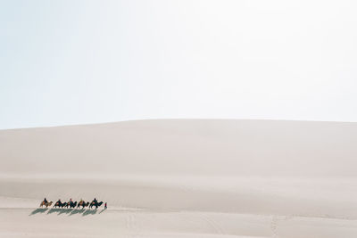 High angle view of people riding camels at desert