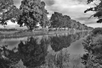 Reflection of trees in calm lake