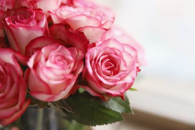 Close-up of pink rose bouquet