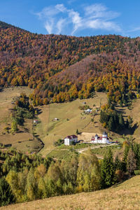 High angle view of trees and houses on field