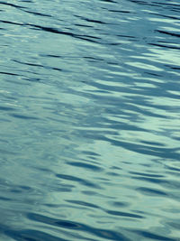 High angle view of swimming pool