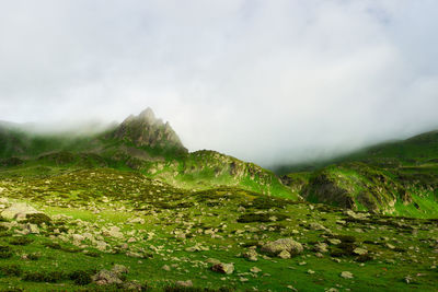 Scenic view of landscape against sky