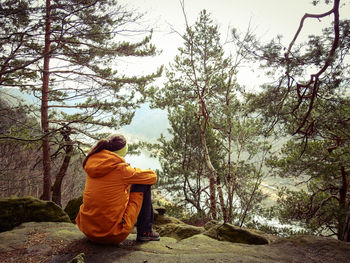 Rear view of man sitting on street amidst trees