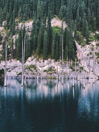 Scenic view of lake