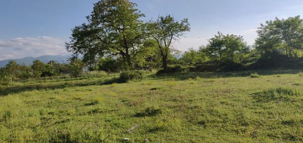 Scenic view of land against sky