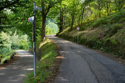 Empty road amidst trees in forest