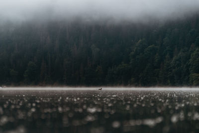 Scenic view of land against sky during foggy weather