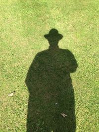 Shadow of man on grass