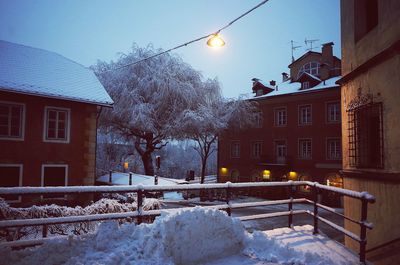 Snow covered trees against buildings