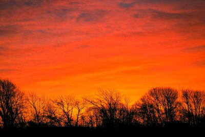 Silhouette trees against sky during sunset