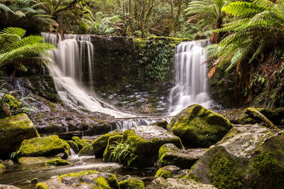 Scenic view of waterfall in forest