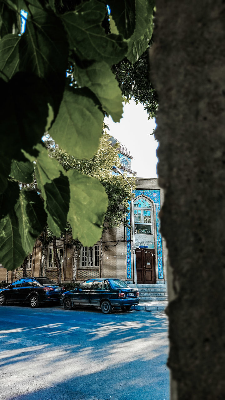 blue, green, architecture, nature, plant, built structure, tree, building exterior, car, reflection, day, no people, vehicle, transportation, mode of transportation, outdoors, motor vehicle, city, building, land vehicle, leaf, plant part