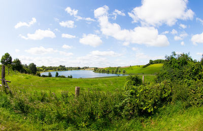 Scenic view of grassy field against sky