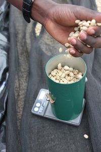 High angle view of person holding food on table