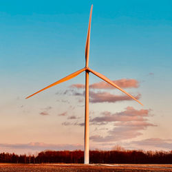 environment