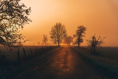 Road amidst trees against sky during sunset