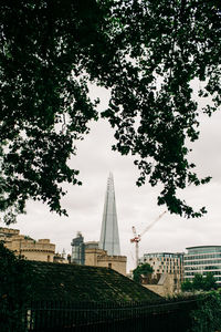 Trees in city against sky