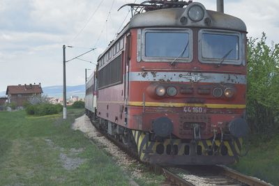 View of tree against sky