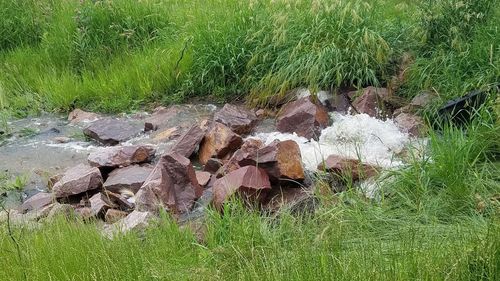 High angle view of rocks on field