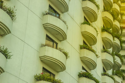 Low angle view of plants on wall