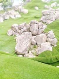 Close-up of rocks on field