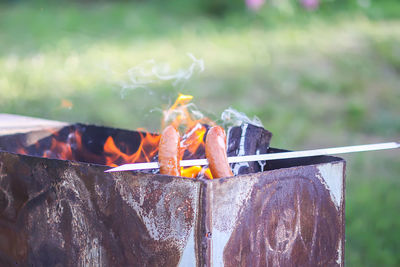 Close-up of bonfire on wooden log