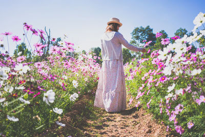 Rear view of woman standing amidst flowers