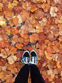 Low section of person standing on maple leaves